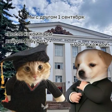 Фотография к записи «Университетская жизнь и мемы»