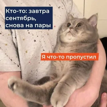 Фотография к записи «Университетская жизнь и мемы»